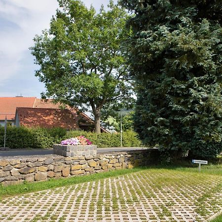 Ferienwohnung Wiesenschneiders Freiensteinau Eksteriør billede